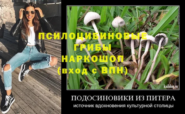 spice Костерёво