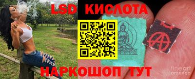 круглые Лесосибирск