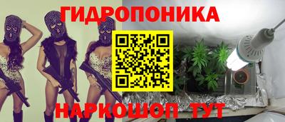 круглые Лесосибирск
