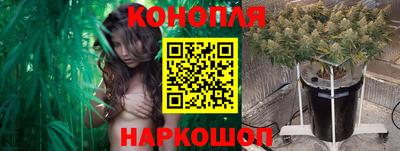 круглые Лесосибирск