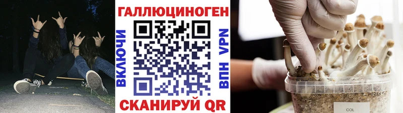 Галлюциногенные грибы Psilocybe  Уварово 
